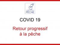 Un retour progressif à la pêche