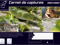 Carnet de captures